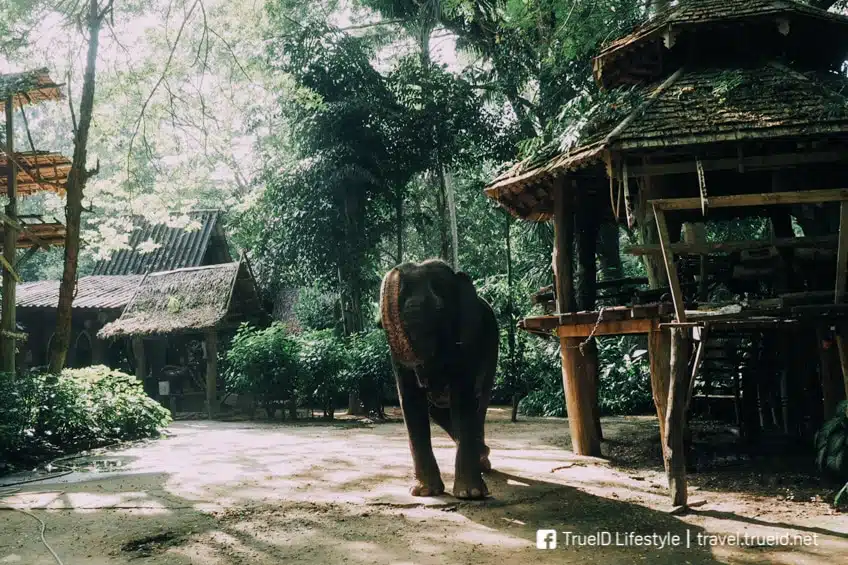 นอนแพริมน้ำ กาญจนบุรี 3 วัน 2 คืน ทริปชิล แอดเวนเจอร์ ครบทุกฟีล 28