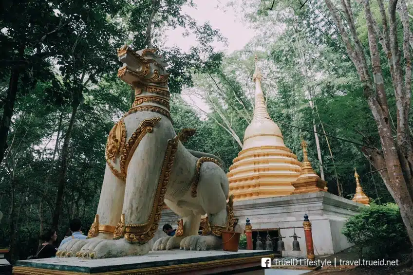 นอนแพริมน้ำ กาญจนบุรี 3 วัน 2 คืน ทริปชิล แอดเวนเจอร์ ครบทุกฟีล 30