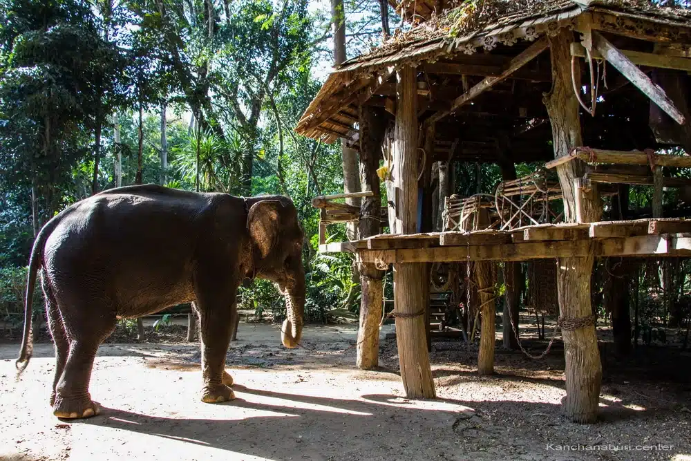 Review of Sai Yok Riverside Stay: "River Kwai Jungle Rafts" 13
