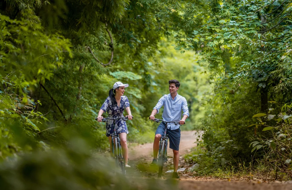 The Art of Forest Bathing: Reconnecting with Your Soul at River Kwai Jungle Rafts 2