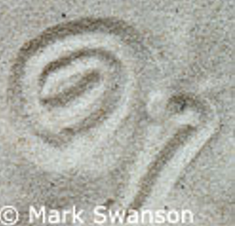 What is an Antlion? Get to Know the Tiny Predator in the Sand 3